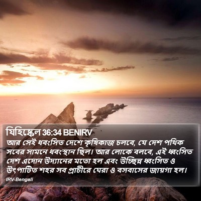 যিহিষ্কেল 36:34 BENIRV Bible Verse Image