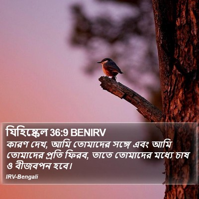 যিহিষ্কেল 36:9 BENIRV Bible Verse Image
