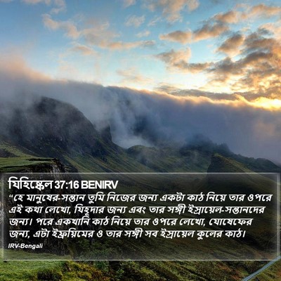 যিহিষ্কেল 37:16 BENIRV Bible Verse Image