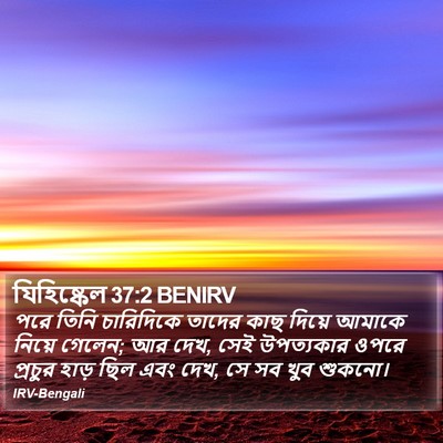 যিহিষ্কেল 37:2 BENIRV Bible Verse Image