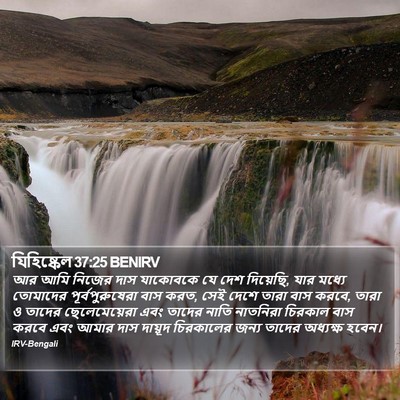 যিহিষ্কেল 37:25 BENIRV Bible Verse Image