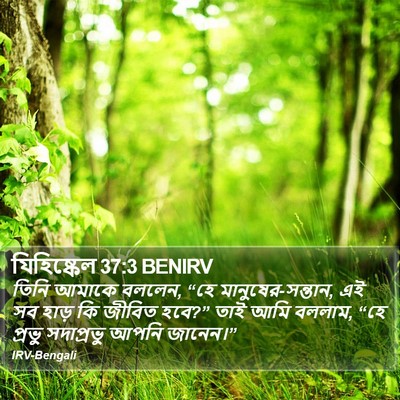 যিহিষ্কেল 37:3 BENIRV Bible Verse Image