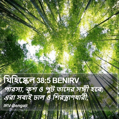 যিহিষ্কেল 38:5 BENIRV Bible Verse Image