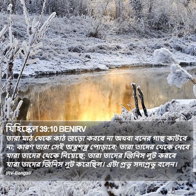 যিহিষ্কেল 39:10 BENIRV Bible Verse Image