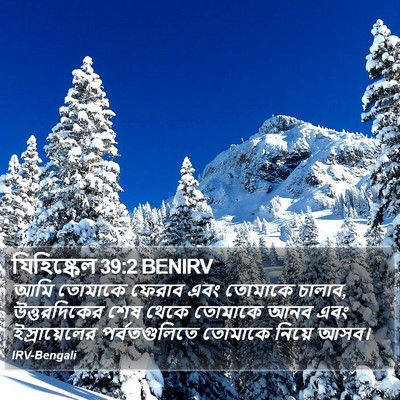 যিহিষ্কেল 39:2 BENIRV Bible Verse Image