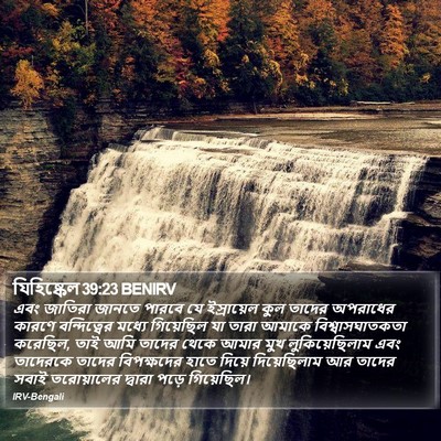 যিহিষ্কেল 39:23 BENIRV Bible Verse Image