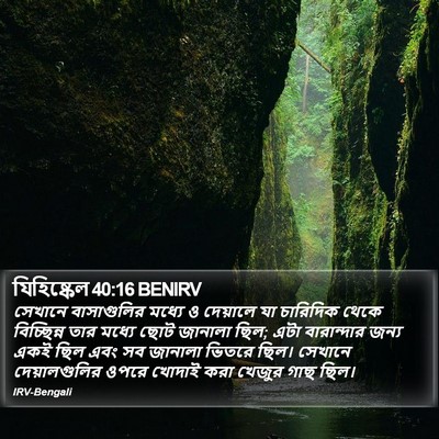 যিহিষ্কেল 40:16 BENIRV Bible Verse Image