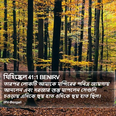 যিহিষ্কেল 41:1 BENIRV Bible Verse Image