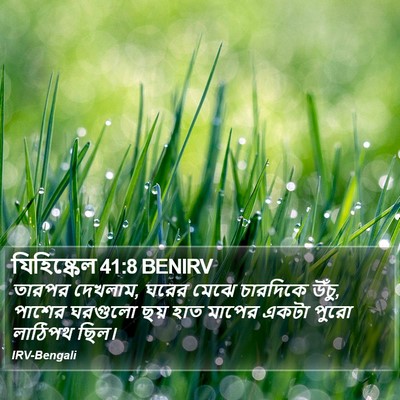 যিহিষ্কেল 41:8 BENIRV Bible Verse Image