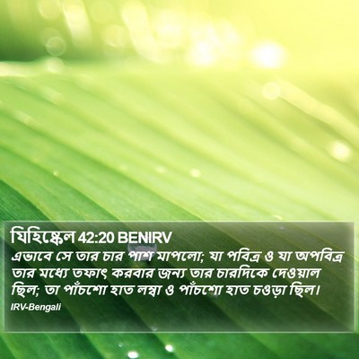 যিহিষ্কেল 42:20 BENIRV Bible Verse Image