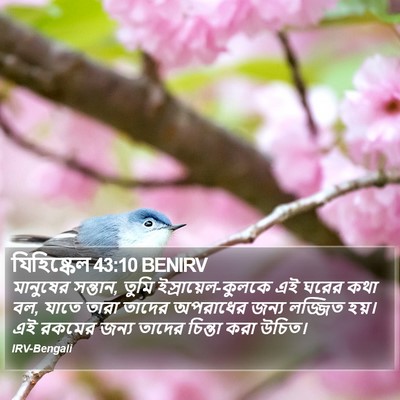যিহিষ্কেল 43:10 BENIRV Bible Verse Image