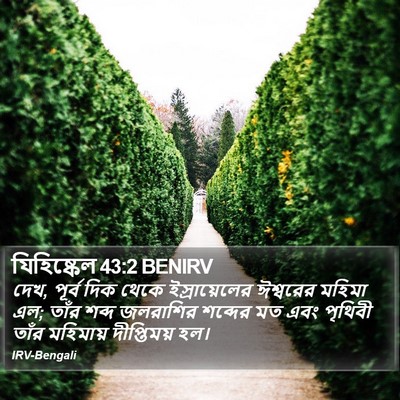 যিহিষ্কেল 43:2 BENIRV Bible Verse Image
