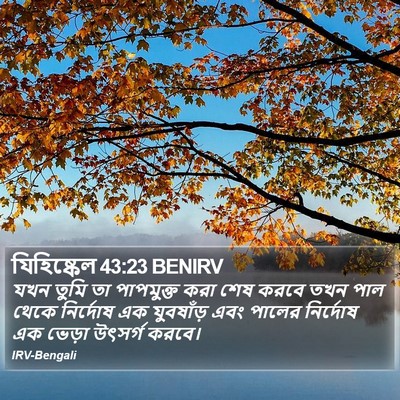 যিহিষ্কেল 43:23 BENIRV Bible Verse Image
