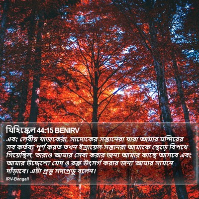 যিহিষ্কেল 44:15 BENIRV Bible Verse Image