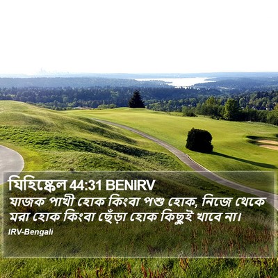 যিহিষ্কেল 44:31 BENIRV Bible Verse Image