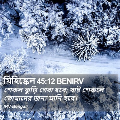 যিহিষ্কেল 45:12 BENIRV Bible Verse Image