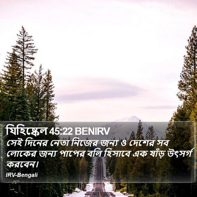 যিহিষ্কেল 45:22 BENIRV Bible Verse Image