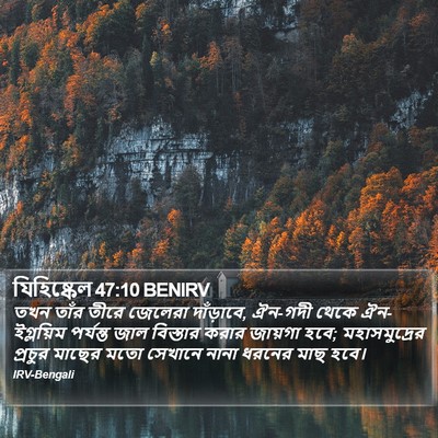যিহিষ্কেল 47:10 BENIRV Bible Verse Image