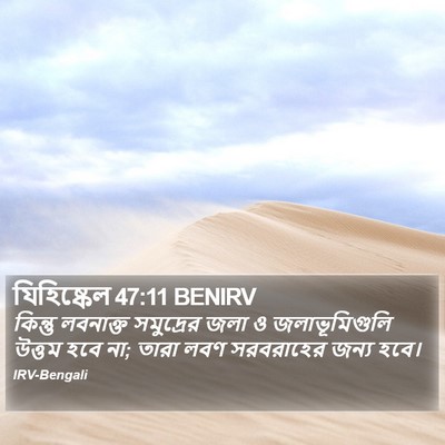 যিহিষ্কেল 47:11 BENIRV Bible Verse Image
