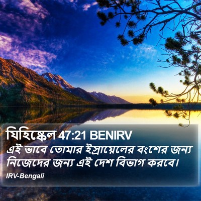 যিহিষ্কেল 47:21 BENIRV Bible Verse Image