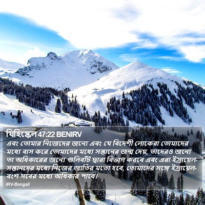 যিহিষ্কেল 47:22 BENIRV Bible Verse Image