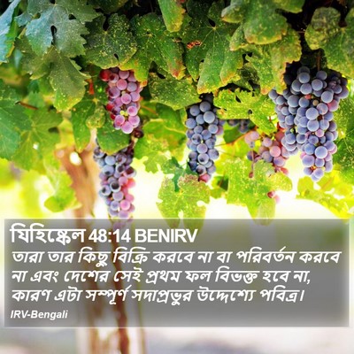 যিহিষ্কেল 48:14 BENIRV Bible Verse Image