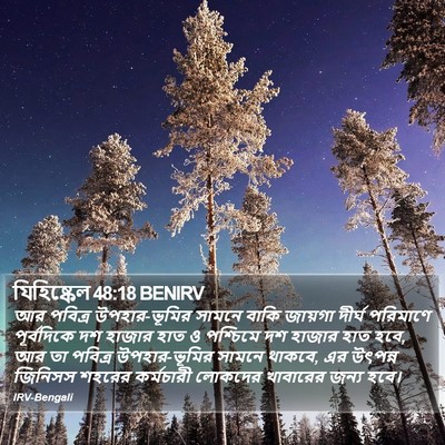 যিহিষ্কেল 48:18 BENIRV Bible Verse Image