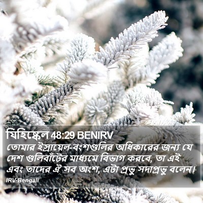 যিহিষ্কেল 48:29 BENIRV Bible Verse Image