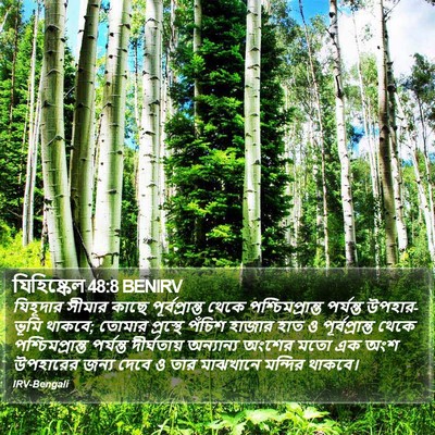 যিহিষ্কেল 48:8 BENIRV Bible Verse Image