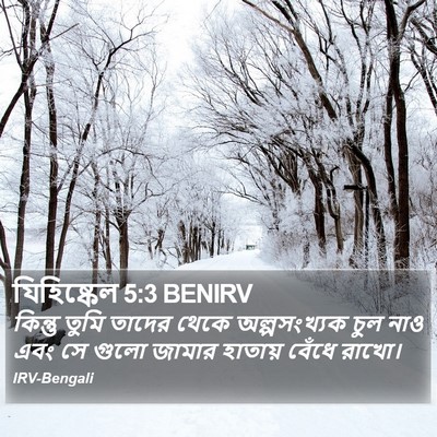 যিহিষ্কেল 5:3 BENIRV Bible Verse Image