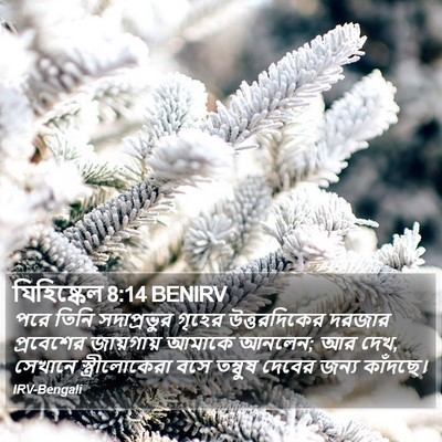 যিহিষ্কেল 8:14 BENIRV Bible Verse Image