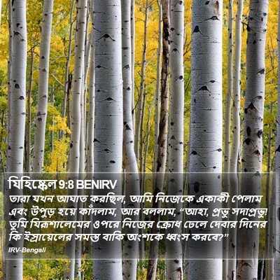 যিহিষ্কেল 9:8 BENIRV Bible Verse Image