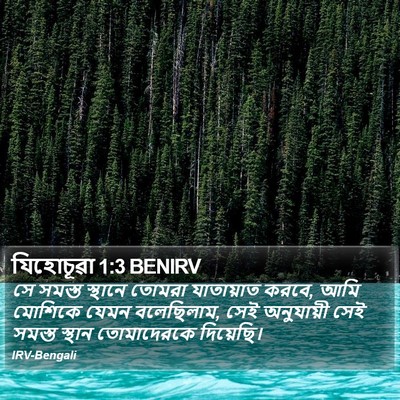 যিহোচূৱা 1:3 BENIRV Bible Verse Image