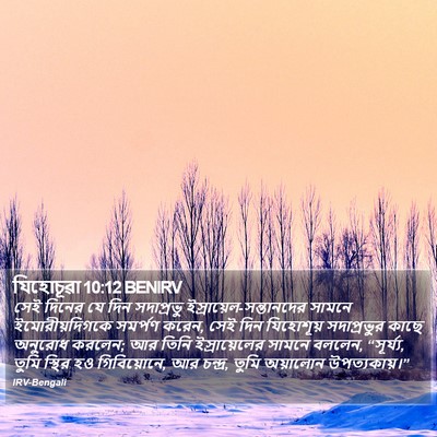 যিহোচূৱা 10:12 BENIRV Bible Verse Image