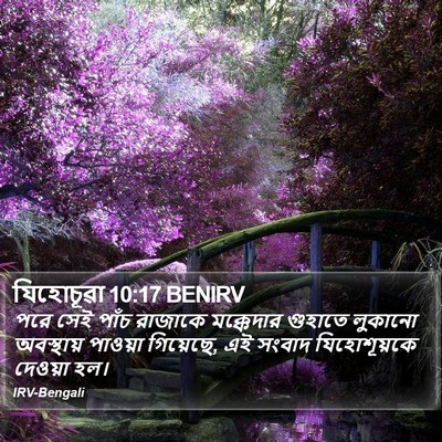 যিহোচূৱা 10:17 BENIRV Bible Verse Image