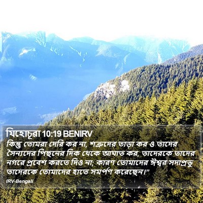 যিহোচূৱা 10:19 BENIRV Bible Verse Image