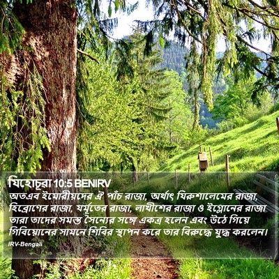 যিহোচূৱা 10:5 BENIRV Bible Verse Image