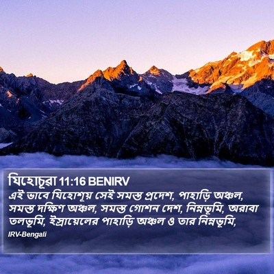 যিহোচূৱা 11:16 BENIRV Bible Verse Image