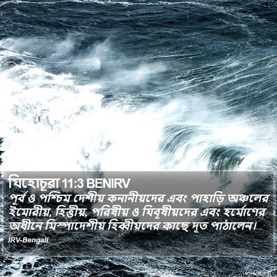 যিহোচূৱা 11:3 BENIRV Bible Verse Image
