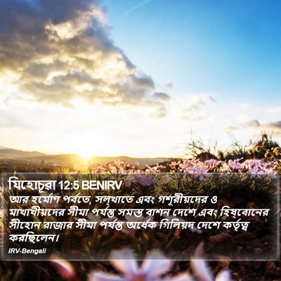 যিহোচূৱা 12:5 BENIRV Bible Verse Image