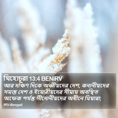 যিহোচূৱা 13:4 BENIRV Bible Verse Image