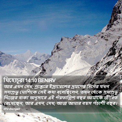 যিহোচূৱা 14:10 BENIRV Bible Verse Image