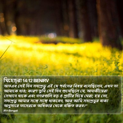 যিহোচূৱা 14:12 BENIRV Bible Verse Image