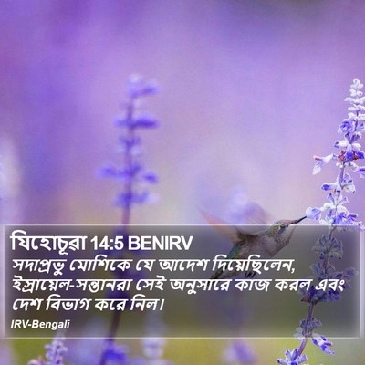 যিহোচূৱা 14:5 BENIRV Bible Verse Image