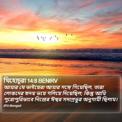 যিহোচূৱা 14:8 BENIRV Bible Verse Image