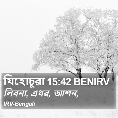 যিহোচূৱা 15:42 BENIRV Bible Verse Image