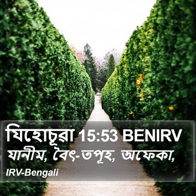 যিহোচূৱা 15:53 BENIRV Bible Verse Image