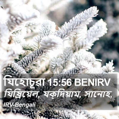 যিহোচূৱা 15:56 BENIRV Bible Verse Image