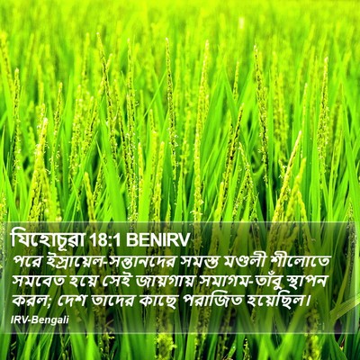 যিহোচূৱা 18:1 BENIRV Bible Verse Image