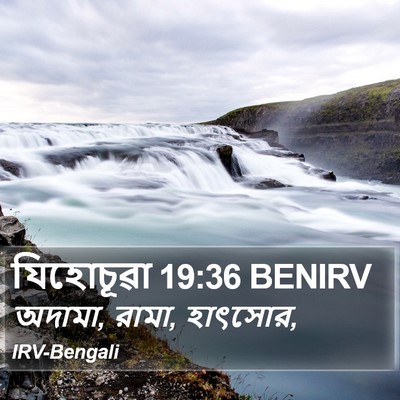 যিহোচূৱা 19:36 BENIRV Bible Verse Image